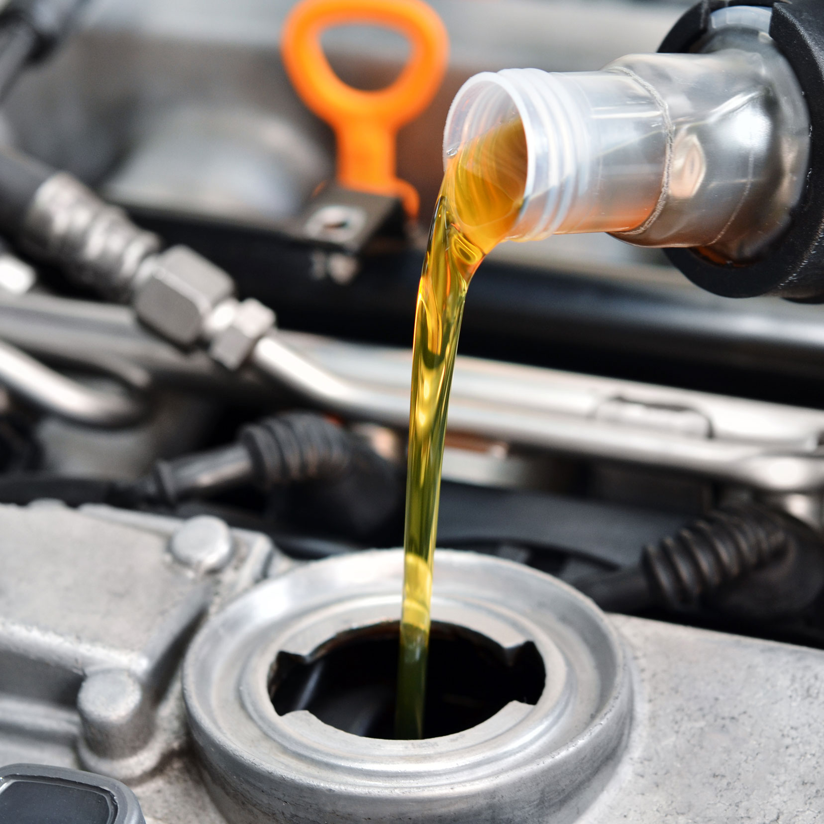 Synthetic Oil Change - Lube Plus+